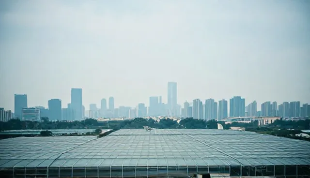 应用开发中的限制条件与选型建议